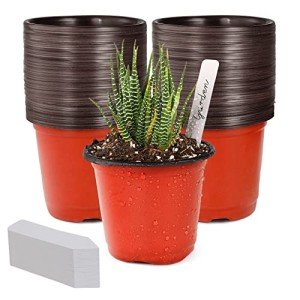 Small Red Plastic Nursery Pots with Labels (100pcs)