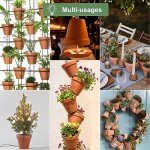 4-Pack 6-Inch Terracotta Plant Pots with Saucer