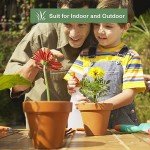 4-Pack 6-Inch Terracotta Plant Pots with Saucer