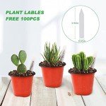 Small Red Plastic Nursery Pots with Labels (100pcs)