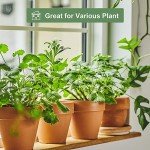 4-Pack 6-Inch Terracotta Plant Pots with Saucer
