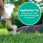 Miracle-Gro Tree and Shrub Food Spikes - 12 Pack