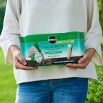 Miracle-Gro Tree and Shrub Food Spikes - 12 Pack