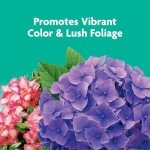 Miracle-Gro Tree and Shrub Food Spikes - 12 Pack