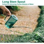 Green Long Spout Watering Can for Indoor Plants