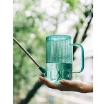 Green Long Spout Watering Can for Indoor Plants