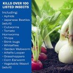 BioAdvanced Vegetable and Garden Insect Spray Concentrate