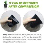 25 Pack of 5-Inch Round Nursery Pots