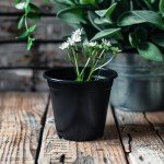 25 Pack of 5-Inch Round Nursery Pots