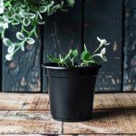 25 Pack of 5-Inch Round Nursery Pots