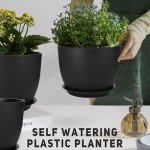 Set of 3 Large Plant Pots with Drainage Holes