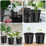 25 Pack of 5-Inch Round Nursery Pots