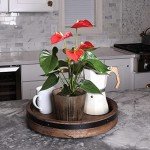 Red Anthurium Live Indoor Plant in Wood Pot