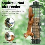 Squirrel-Proof Metal Mesh Bird Feeder - Green
