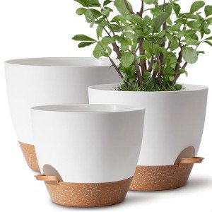 Self-Watering Flower Pots Set of 3, 12-9 Inch
