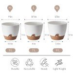 Self-Watering Flower Pots Set of 3, 12-9 Inch