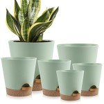 Indoor Self-Watering Planters with Drainage Saucers
