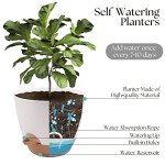 Self-Watering Flower Pots Set of 3, 12-9 Inch