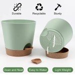 Indoor Self-Watering Planters with Drainage Saucers