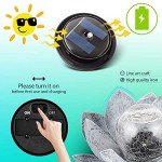 Solar Crackle Globe Lotus Lights for Garden