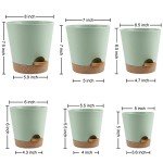 Indoor Self-Watering Planters with Drainage Saucers