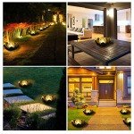 Solar Crackle Globe Lotus Lights for Garden