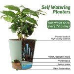 Indoor Self-Watering Planters with Drainage Saucers