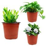 130 Pack Plastic Plant Nursery Pots for Seedlings