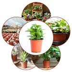 130 Pack Plastic Plant Nursery Pots for Seedlings