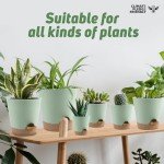 Indoor Self-Watering Planters with Drainage Saucers