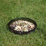 2 Pack Metal Hanging Bird Feeders for Gardens