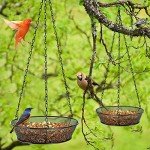 2 Pack Metal Hanging Bird Feeders for Gardens