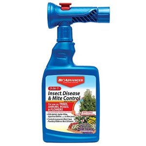 BioAdvanced 3-in-1 Insect and Disease Control Spray