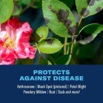 BioAdvanced 3-in-1 Insect and Disease Control Spray