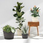 10" Brown Plastic Flower Pots with Drainage - 4 Pack