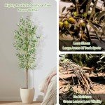 6FT Artificial Olive Tree for Home Décor