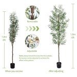 6FT Artificial Olive Tree for Home Décor