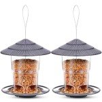 Easy Clean Hanging Bird Feeder for Outdoors