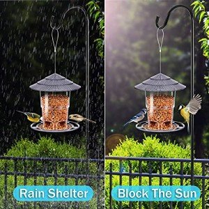 Easy Clean Hanging Bird Feeder for Outdoors