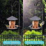 Easy Clean Hanging Bird Feeder for Outdoors