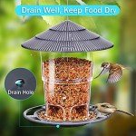 Easy Clean Hanging Bird Feeder for Outdoors