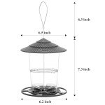 Easy Clean Hanging Bird Feeder for Outdoors