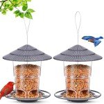 Easy Clean Hanging Bird Feeder for Outdoors