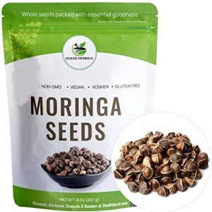 Gilead Herbals Non-GMO Moringa Seeds - 1000+ Count