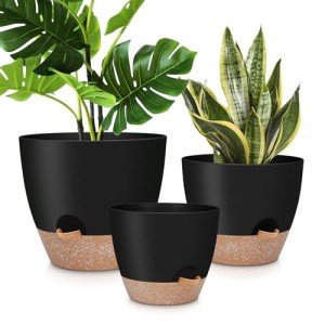 Self-Watering Plant Pots 3-Pack - Black