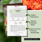 Beefsteak Tomato Seeds - Non-GMO Heirloom Packet