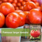 Beefsteak Tomato Seeds - Non-GMO Heirloom Packet