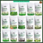 Gilead Herbals Non-GMO Moringa Seeds - 1000+ Count
