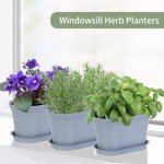 Herb Garden Planter Set with Tray - 6 Pots