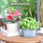 Herb Garden Planter Set with Tray - 6 Pots
